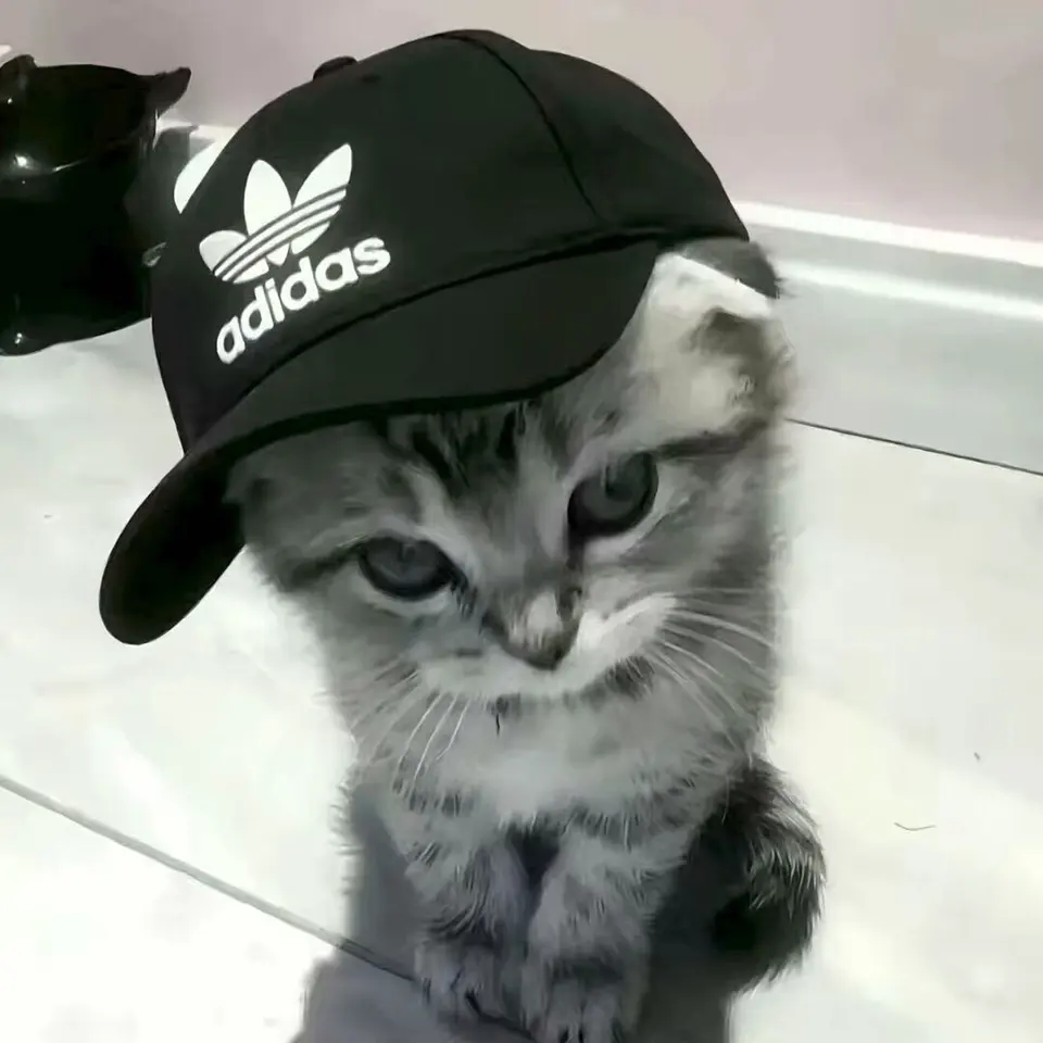 犭犬病头像